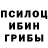 Псилоцибиновые грибы Psilocybine cubensis ka_smola