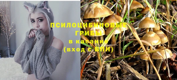бутират Майский