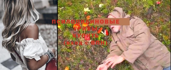 бутират Майский