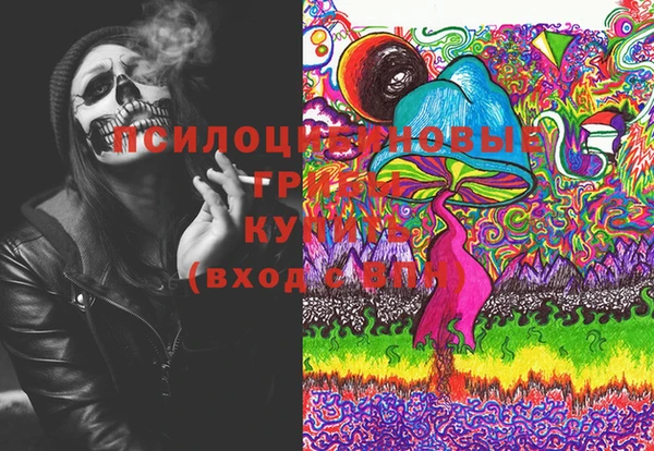 МДПВ Магас