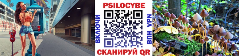 Купить  Козьмодемьянск  Псилоцибиновые грибы Psilocybe 